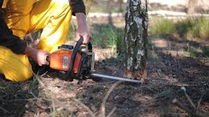 Best Aeration Services  in Homestead Meadows South, TX