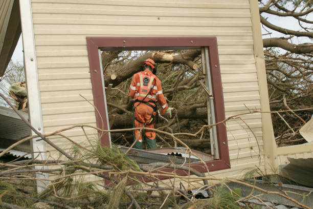 Best Tree Health Inspection  in Homestead Meadows South, TX